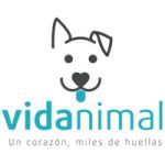 Vidanimal